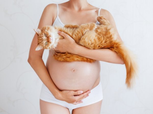 femeie gravida tinand o pisica in brate